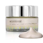 URBAN SOMBRERO Scentinal Anti-Aging Night Cream with Hyaluronic Acid - Overnight Rejuvenation for Radiant, Youthful Skin - 50 ml/1.7 Oz
