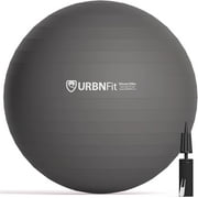 URBNFit Exercise Ball - AntiBurst Swiss Balance Ball w/ Pump - Fitness Ball Chair for Office, Home Gym - Silver, 75CM