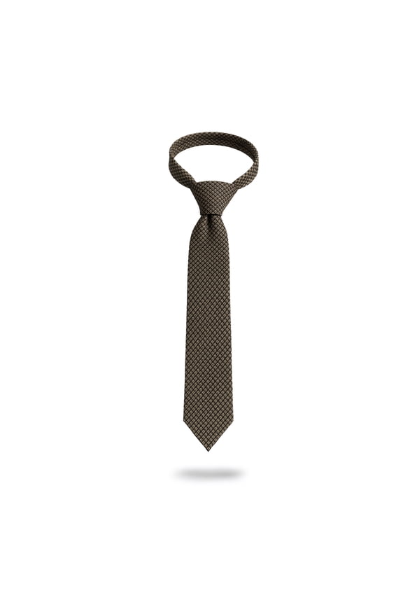 Men's Classic Traditional Necktie, 100% Polyester Stain-Resistant Textured Micro-Pattern Tie for Business Formal, 146 cm Length, Brown