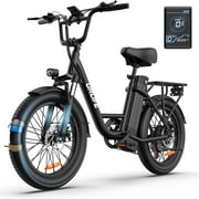 URLIFE 20" Electric Bike for Adults, 1000W Peak Motor, 48V 13AH Remobavle Battery, 7-Speed Mountain Ebike, UL2849-Black