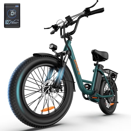 URLIFE 20"Electric Bike for Adults,1000W Peak Motor,3.0Fat Tire 48V 13AH Remobavle Battery,7-Speed Mountain Ebike,UL2849-Black