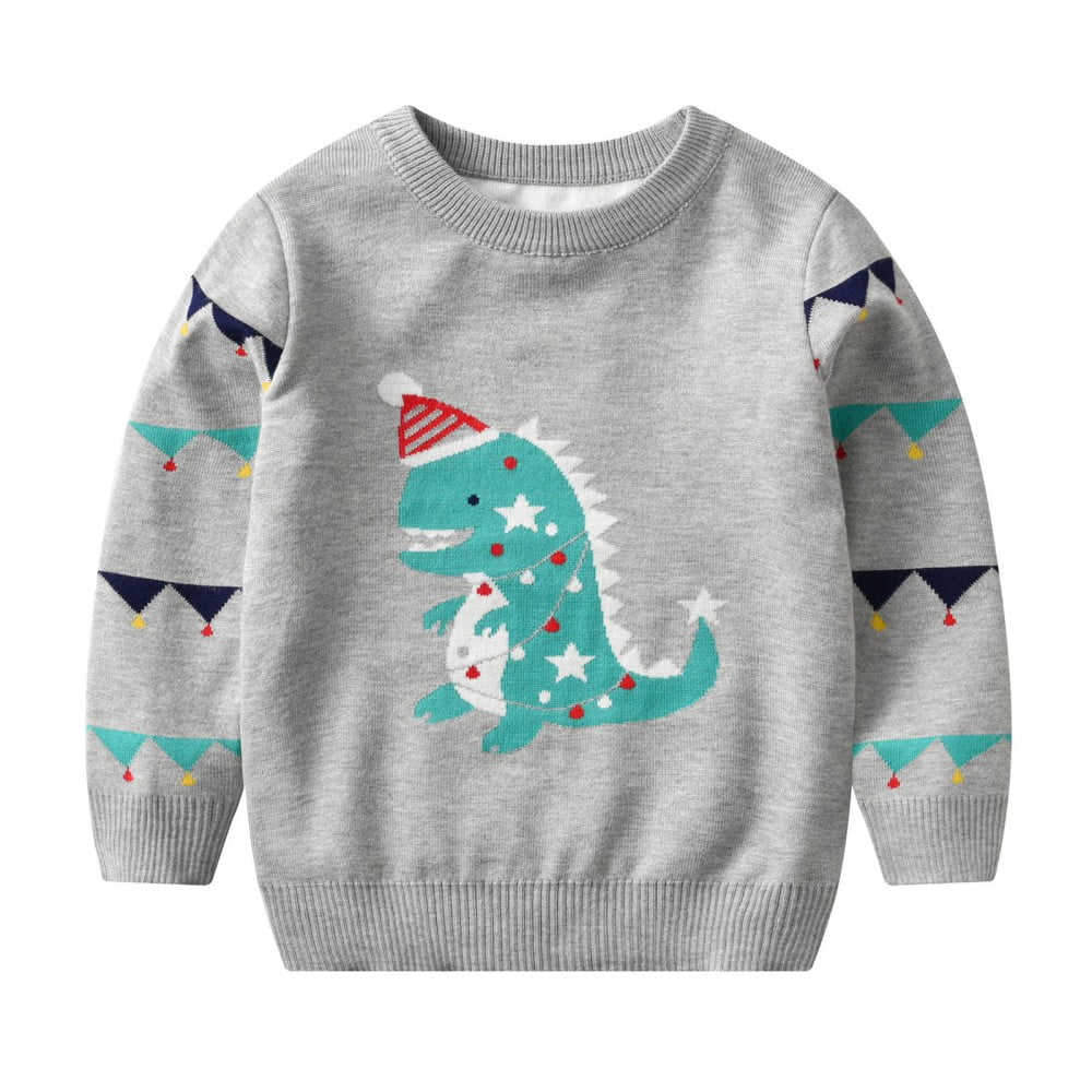 Boys 2025 dinosaur sweater