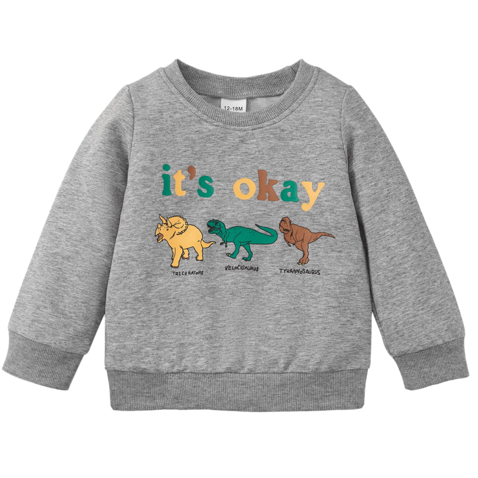 Dinosaur Graphic Terry Sweatshirt