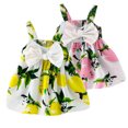 thumbnail image 1 of URMAGIC Newborn Baby Girls Fruit Bowknot Princess Dress Summer Strap Dresses,0-5Y, 1 of 4