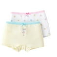 thumbnail image 1 of URMAGIC Teen Girls Breathable Comfort Briefs Cotton Soft Panties Cute Cartoon Print Underwear|pack of 2 Boxers, 1 of 5
