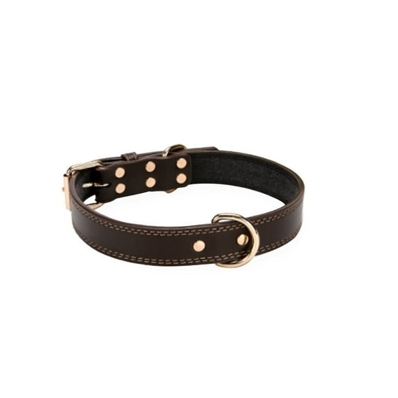 US 1 Pack Heavy Duty Full Grain Genuine Leather Dog Collar Strong Hardware Pet