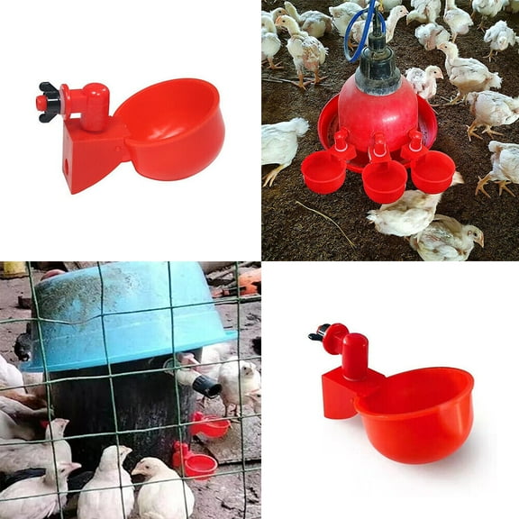 US 10-20 Pc Automatic Poultry Water Cups Drinker Chicken Duck Goose Turkey Quail
