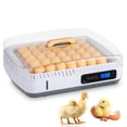 thumbnail image 1 of US 35 Egg Incubator with Automatic Turning, Temperature Control Features, 1 of 28