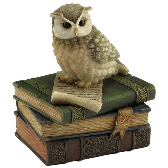 US 4.5 Inch Collared Scops Owl on Books Decorative Trinket Box, Brown