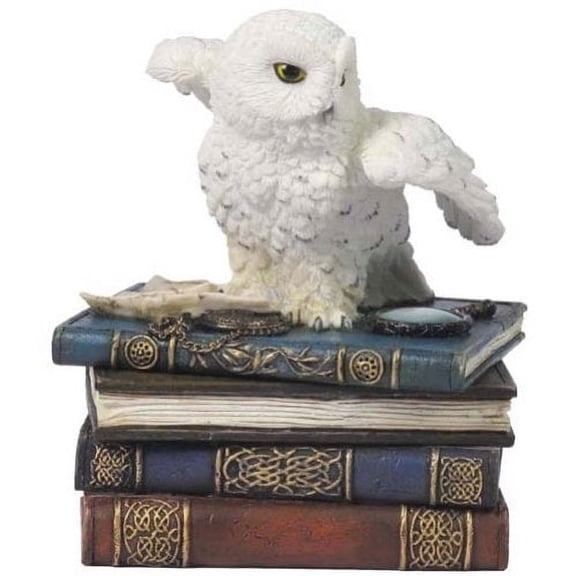 US 4.75 Inch Snow Owl Flap Wings on Books Trinket Box, White Color