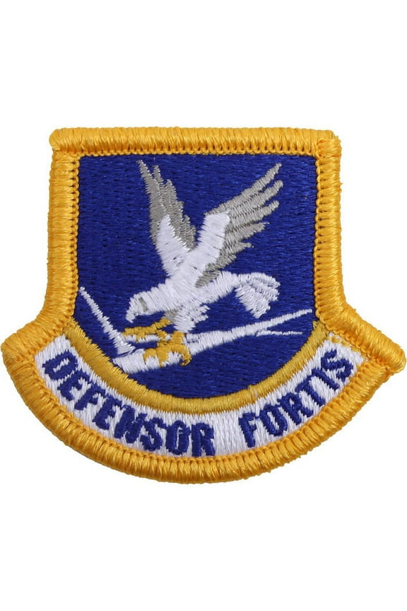 US Air Force Beret Flash Patch