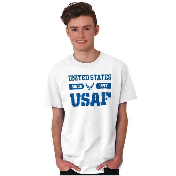 US Air Force Classic USAF Logo Men's Graphic T Shirt Tees Brisco Brands L