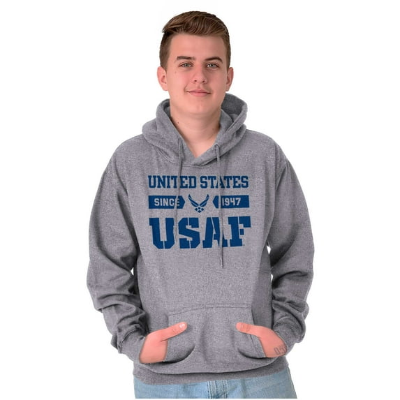US Air Force Classic USAF Logo Unisex Plus Size Hoodie Brisco Brands 5X