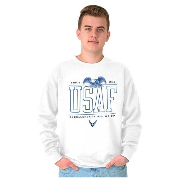 US Air Force Excellence Bald Eagle Sweatshirt for Men or Women Brisco Brands M