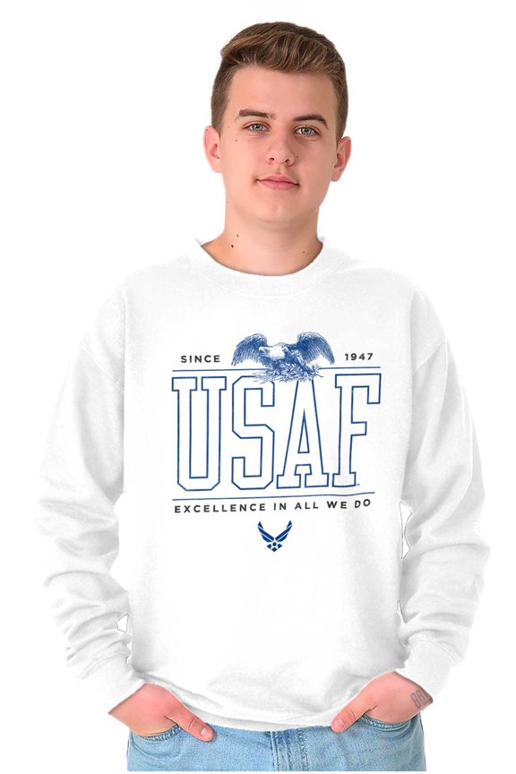 Excellence Bald Eagle Unisex Plus Fleece Graphic Sweatshirt Brisco Brands 3X