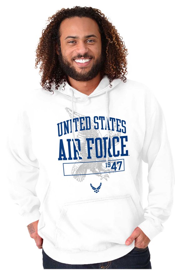 USAF Logo Bald Eagle Unisex Plus Size Hoodie Brisco Brands 3X