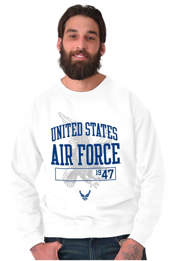 USAF Logo Bald Eagle Unisex Plus Size Sweatshirt Brisco Brands 3X