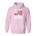 thumbnail image 1 of US Air Force Veteran Flag Adult Hooded Sweatshirt, 1 of 3