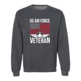 thumbnail image 1 of US Air Force Veteran Flag Crewneck Sweatshirt, 1 of 3