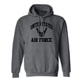 thumbnail image 1 of US Air Force Wings Adult Hooded Sweatshirt, 1 of 3