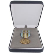 US Air Space Force AmnM Airman's Medal Award Presentation Set Official Licensed