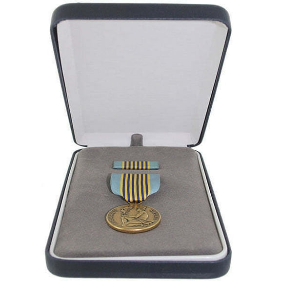 US Air Space Force AmnM Airman's Medal Award Presentation Set Official Licensed