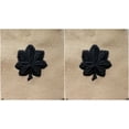 thumbnail image 1 of US Army Desert Tan Lieutenant Colonel Rank Sew-On Patches - Pair, 1 of 1