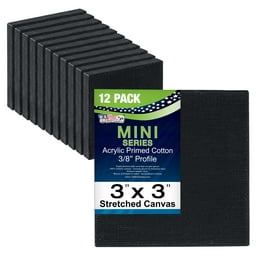 FIXSMITH Painting Canvas Panels - 9x12 inch Professional Quality Canvas Boards,super Value 12 Pack,100% Cotton,primed,acid Free,for Professional ARTIS