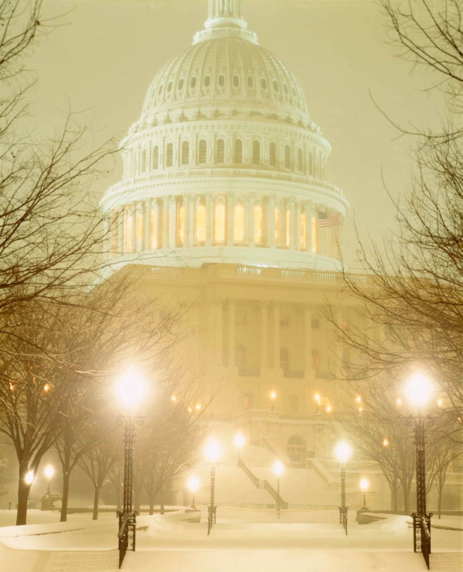US Capitol Building illuminated at night in a snow storm Washington DC USA Canvas Art - Panoramic Images (28 x 22)
