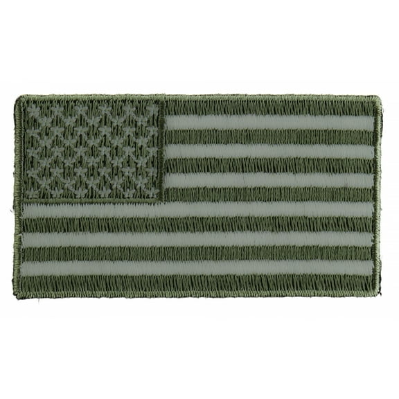 US Flag Patch Earth Green 2.5 Inch