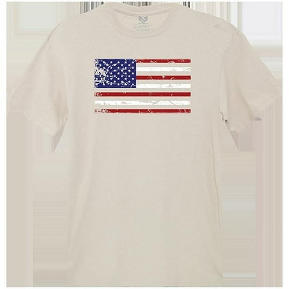 US Flag Relaxed Graphic T-Shirt, Sand - Large