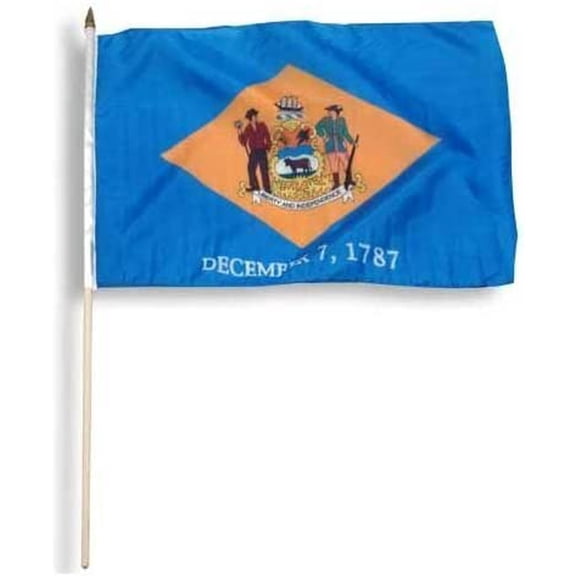 US Flag Store Delaware Flag 12 x 18 inch