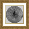 thumbnail image 1 of US Geological Survey 20x20 Gold Ornate Wood Framed with Double Matting Museum Art Print Titled - Unmarked Map of the Moon, North Pole, 1 of 4