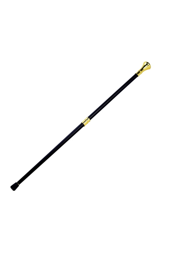 US Marine Corps Iwo Jima Cane Walking Stick USMC Military Gift