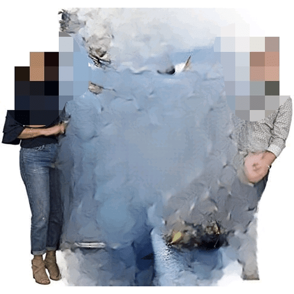 US Marine Corps - Land Sea Air Blanket - Gift Military Tapestry Throw Woven from Cotton - Made in The USA (72x54)$$Home Decor, Kitchen, & Other