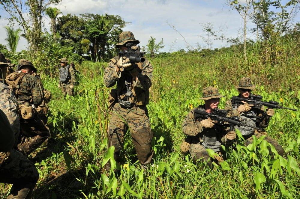 US Marines guard an extraction point in the marshes of Santo Tomas Canvas Art - Stocktrek Images (35 x 23)