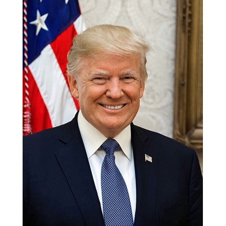US President Donald Trump Official 2017 Portrait - 12x18 Inch Laminated Poster - Stunning Detail and Bold Colors