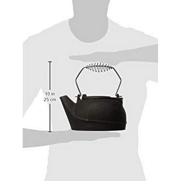 G3C11145LUS Stove Company Kettle Fireplace 3Qt Black, L