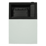 Ashley Hearth DVAG8N Natural Gas Direct-Vent Wall Heater