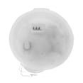 thumbnail image 1 of US USEP8876M Fuel Pump Module Assembly, 1 of 2