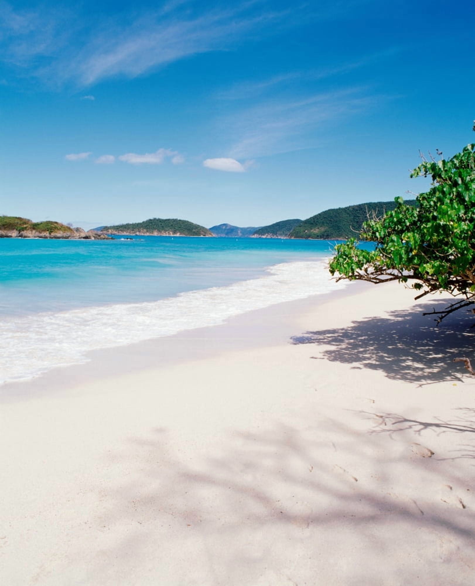US Virgin Islands St John Cinnamon Bay Trees at the North Shore Canvas Art - Panoramic Images (22 x 27)