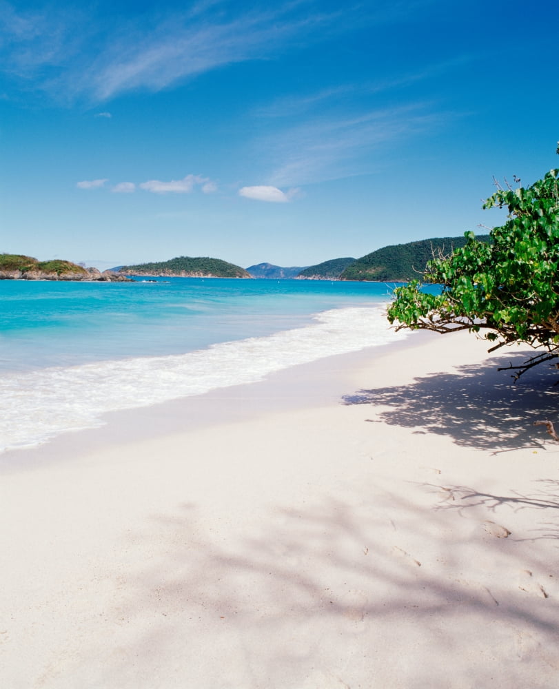 US Virgin Islands St John Cinnamon Bay Trees at the North Shore Canvas Art - Panoramic Images (29 x 36)