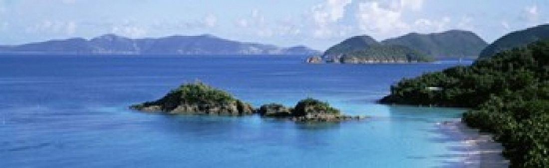 US Virgin Islands St John Trunk Bay Rock formation in the sea Canvas Art - Panoramic Images (15 x 5)