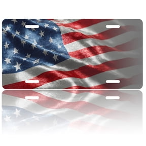 USA 250th Anniversary License Plate, Personalized Binary American Car Front License Plate Cover, Car Decor Accessory Stainless Aluminum Metal Rust-Proof Car Plate Novelty Vanity Tag 6 X 12 Inch