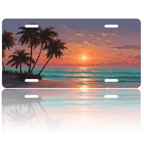 USA 250th Anniversary License Plate, Personalized Palm Beach Sunset Car Front License Plate Cover, Car Decor Accessory Stainless Aluminum Metal Rust-Proof Car Plate Novelty Vanity Tag 6 X 12 Inch