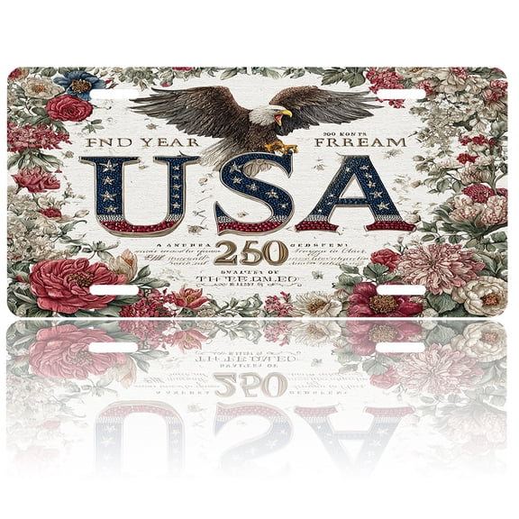 USA 250th Anniversary License Plate, Personalized Vintage USA Car Front License Plate Cover, Car Decor Accessory Stainless Aluminum Metal Rust-Proof Car Plate Novelty Vanity Tag 6 X 12 Inch