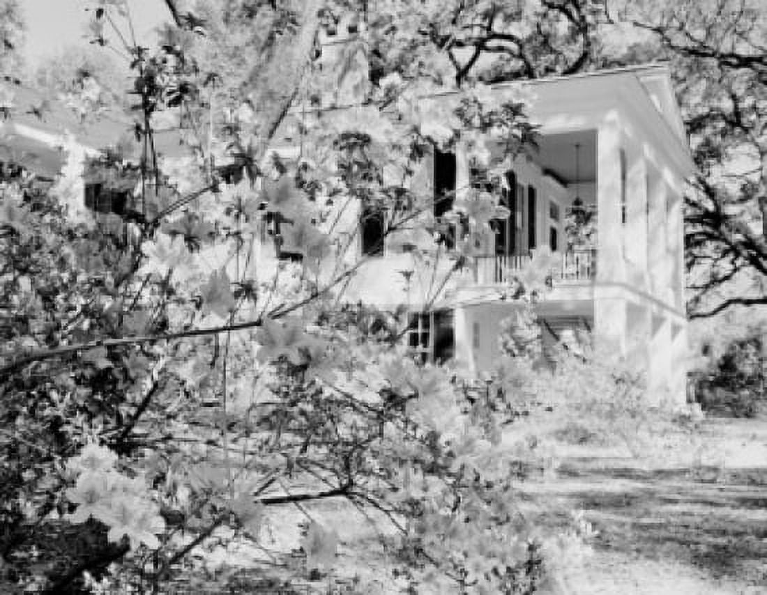 USA Alabama Mobile Oakleigh House Museum View on museums building through blossoming bush Canvas Art - (24 x 36)