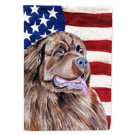 USA American Flag with Newfoundland Garden Flag