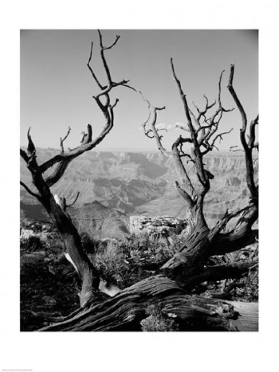USA Arizona Grand Canyon Colorado River seen from South Rim Canvas Art - (18 x 24)
