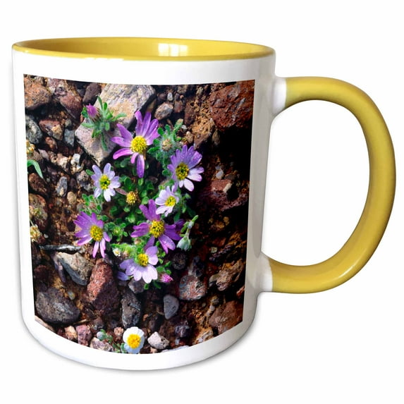 USA, Arizona, Organ Pipe Cactus National Monument. Wildflowers. 15oz Two-Tone Yellow Mug mug-208245-13